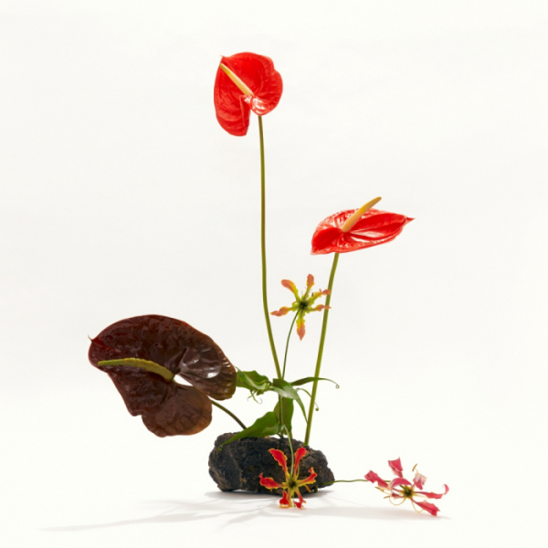 ▲밀레나(사진 = WAVY(웨이비) 제공)