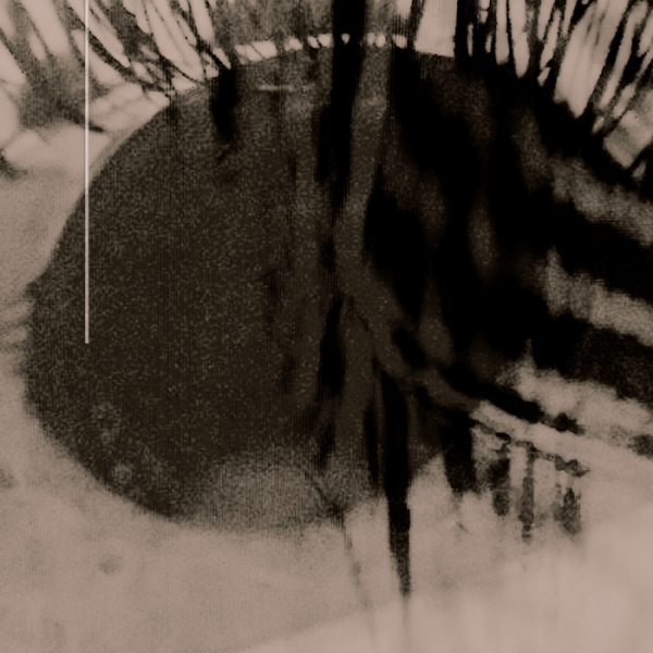 ▲지우(사진 = WAVY 제공)