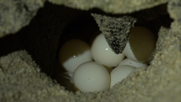 ▲'걸어서 세계속으로' 오만(사진제공=KBS 1TV)