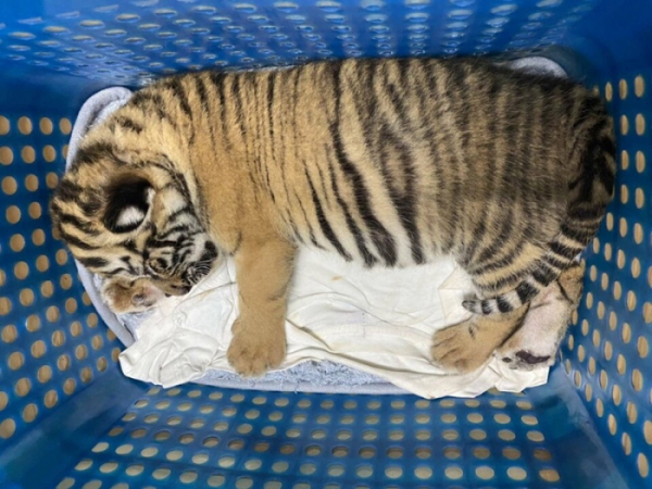 ▲'특파원보고 세계는 지금'(사진제공=KBS 1TV)