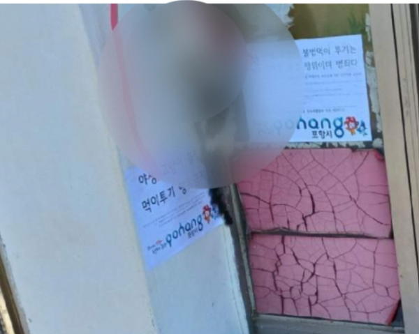 ▲지난 6월 21일 경부 포항 북구의 한 초등학교 인근에서 발견된 고양이 사체. (사진제공=카라)