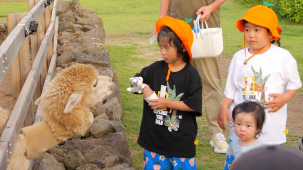 ▲'슈퍼맨이돌아왔다' (사진제공=KBS 2TV)