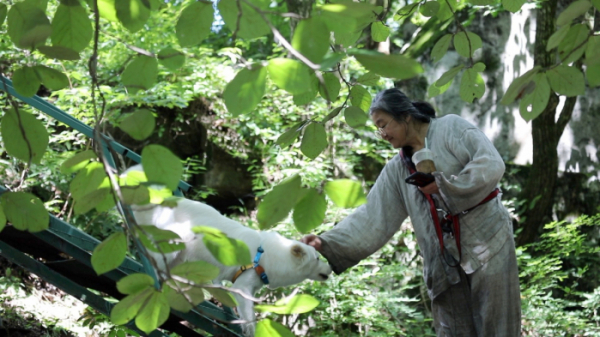 ▲'동물극장 단짝'(사진제공=KBS 1TV)