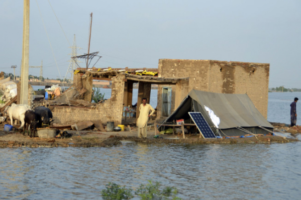 ▲28일(현지시간) 파키스탄 발루치스탄주 자파라바드의 한 마을 주민이 홍수로 물에 잠긴 집에 서 있다. 자파라바드/AP뉴시스