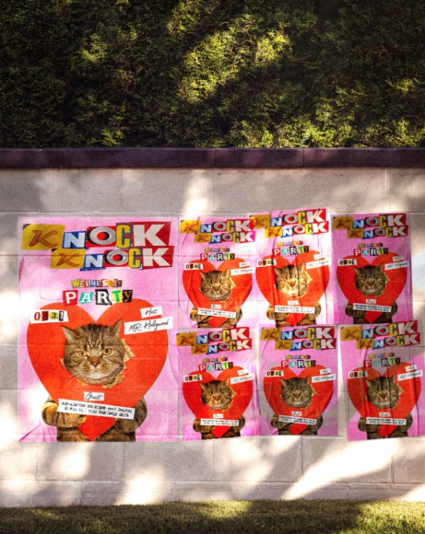 (사진 = 하이어뮤직 제공)