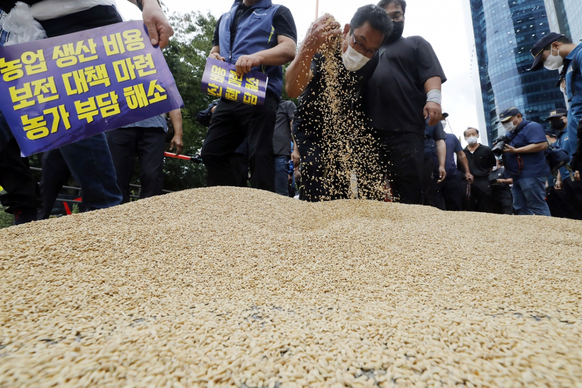▲서울역 인근에서 열린 한국후계농업경영인중앙연합회 등 주요 농민 단체의 농가경영 불안 해소 대책 마련 촉구 농민 총궐기에서 참가자들이 정부 정책에 항의하며 버린 벼 옆으로 행진하고 있다.  (뉴시스)