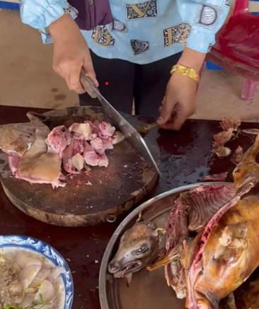 ▲야생 동물로 요리를 만들고 있는 캄보디아인. (출처=일간 크메르타임스 홈페이지 캡처)
