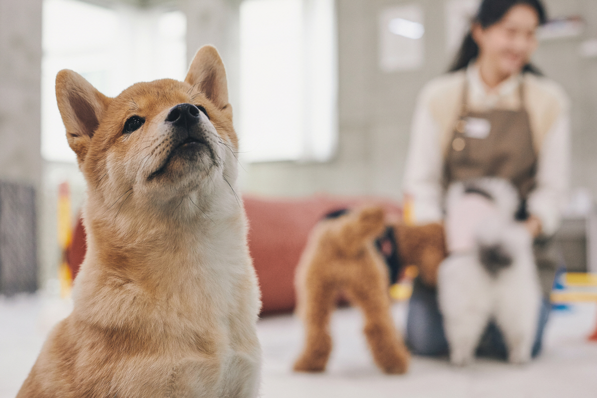 ▲(게티이미지뱅크)