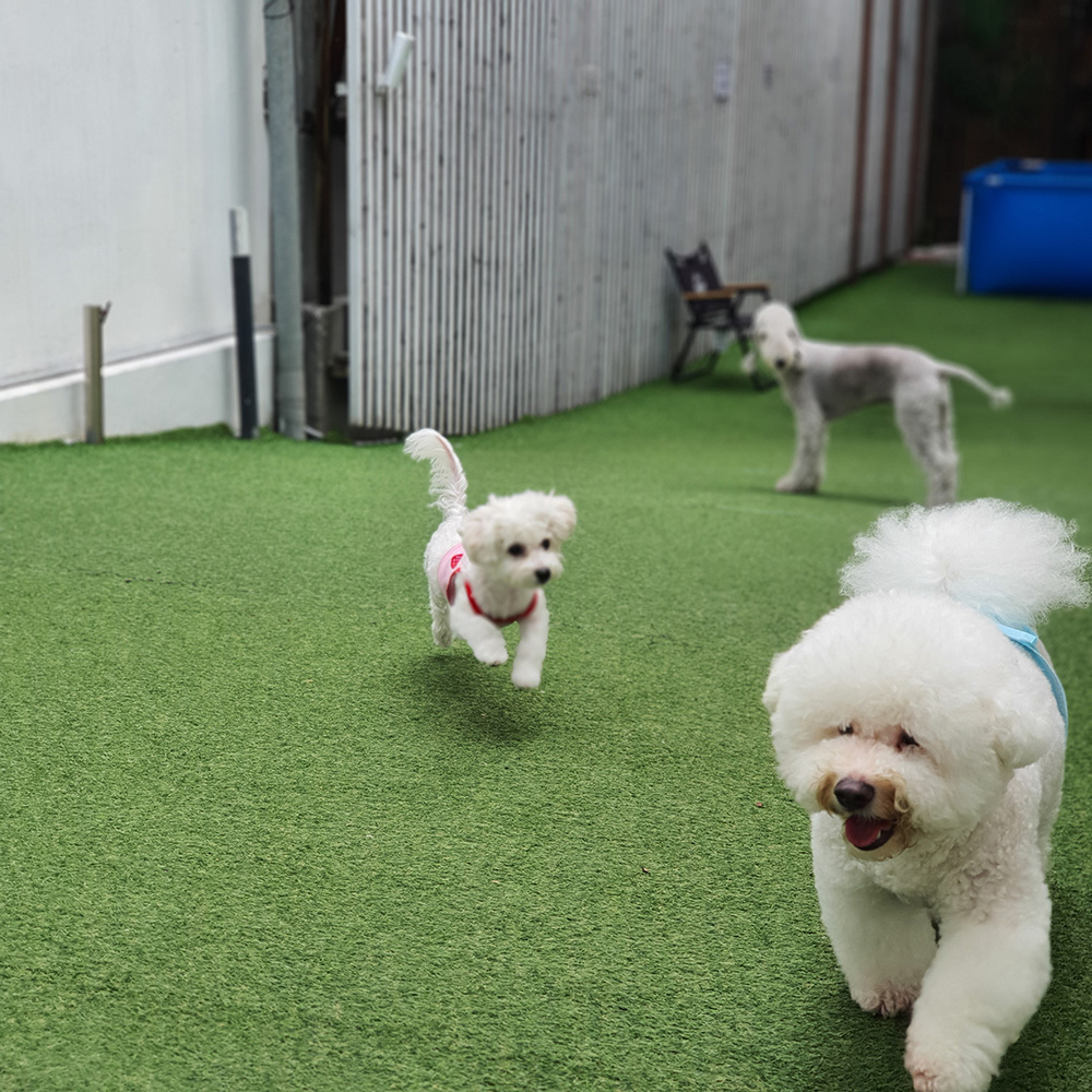 (사진제공=서울시)