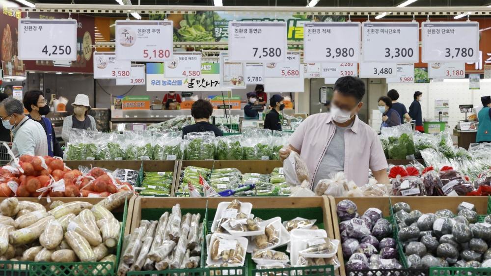 ▲소비자물가 상승세가 둔화했으나 8월 먹거리 물가는 상승하면서 13년 4개월만에 최고치를 기록했다. 5일 서울 시내의 한 대형마트에서 시민들이 장을 보고 있다. 이날 통계청 국가통계포털에 따르면 지난달 먹거리 물가는 1년 전보다 8.4% 상승했다. 이는 2009년 4월(8.5%) 이후 13년 4개월 만에 최고 상승률로 2020년 가중치를 기준으로 집계했을 때 8월 먹거리 물가 지수는 113.57 기록했다. 조현호 기자 hyunho@ (이투데이DB)