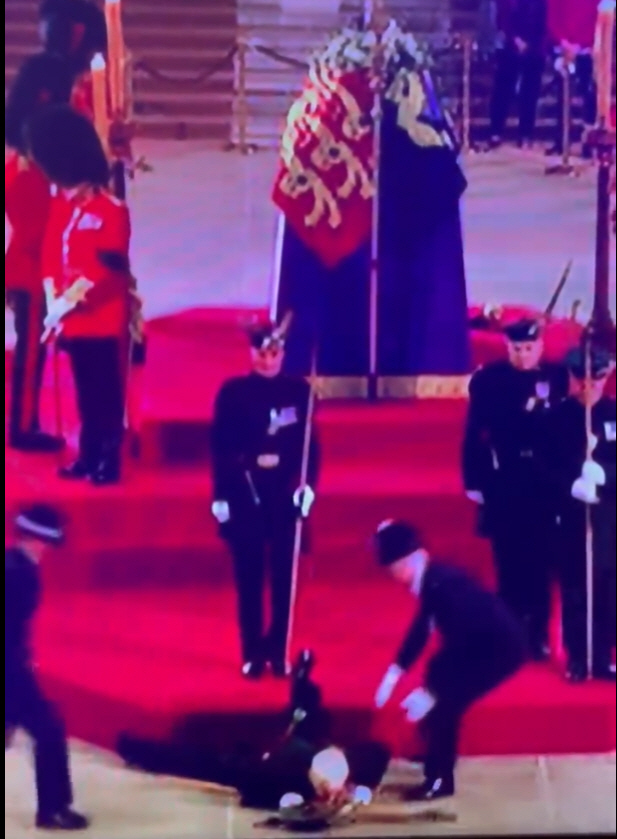 ▲(트위터 캡처)