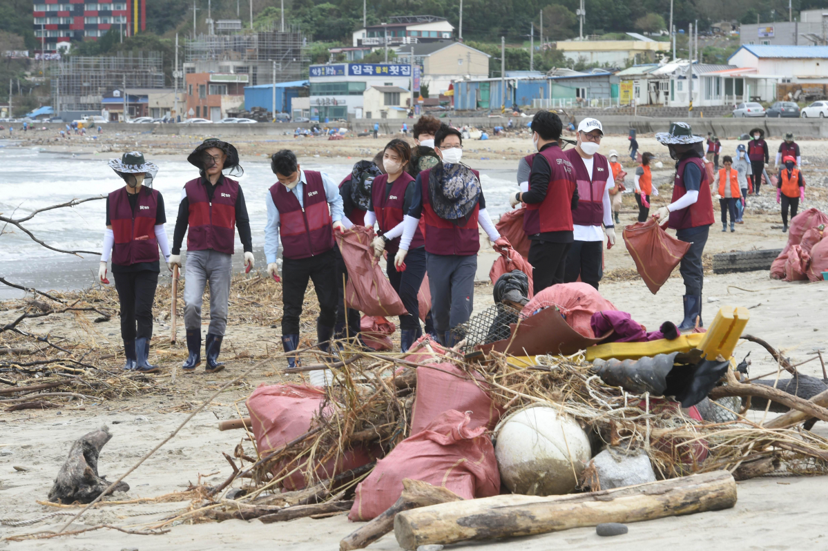 ▲15일 경북 포항시 남구 동해면 도구해수욕장에서 태풍 힌남노 영향으로 내륙에서 떠내려온 쓰레기 더미를 치우고 있다. (뉴시스)
