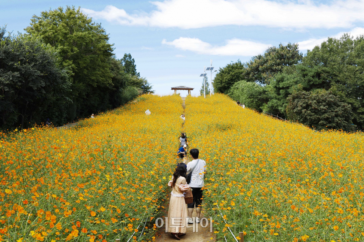 (조현호 기자 hyunho@)