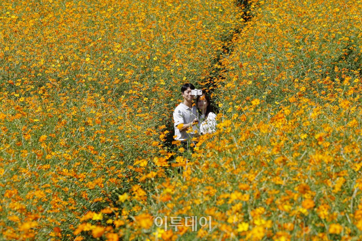 (조현호 기자 hyunho@)