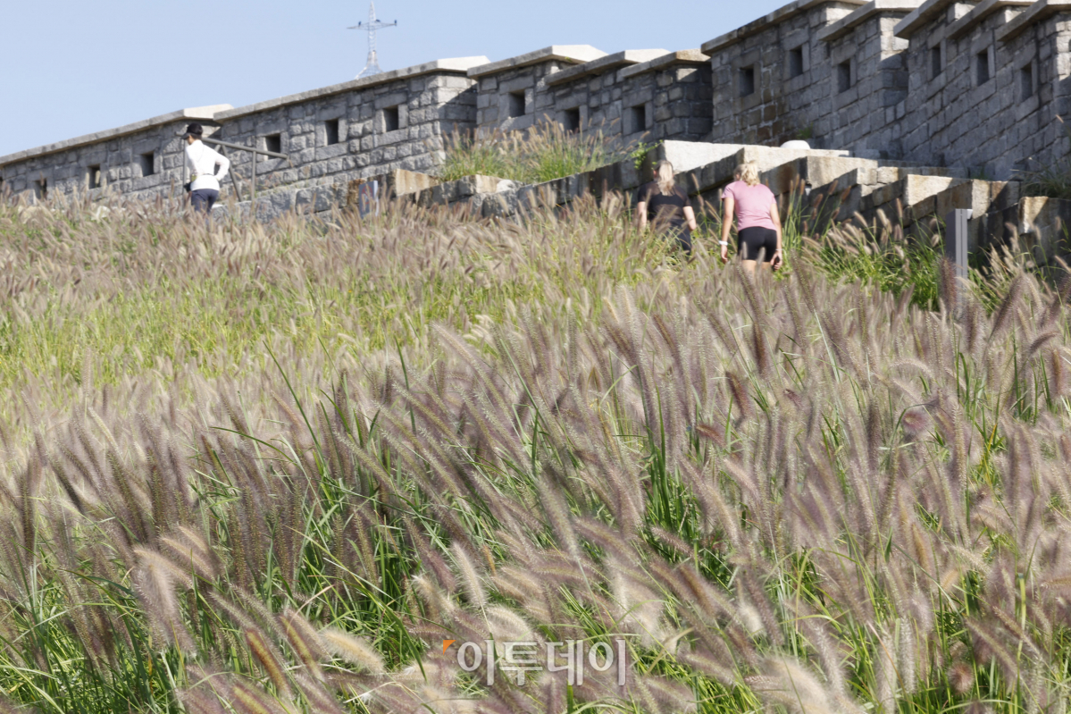 (조현호 기자 hyunho@)