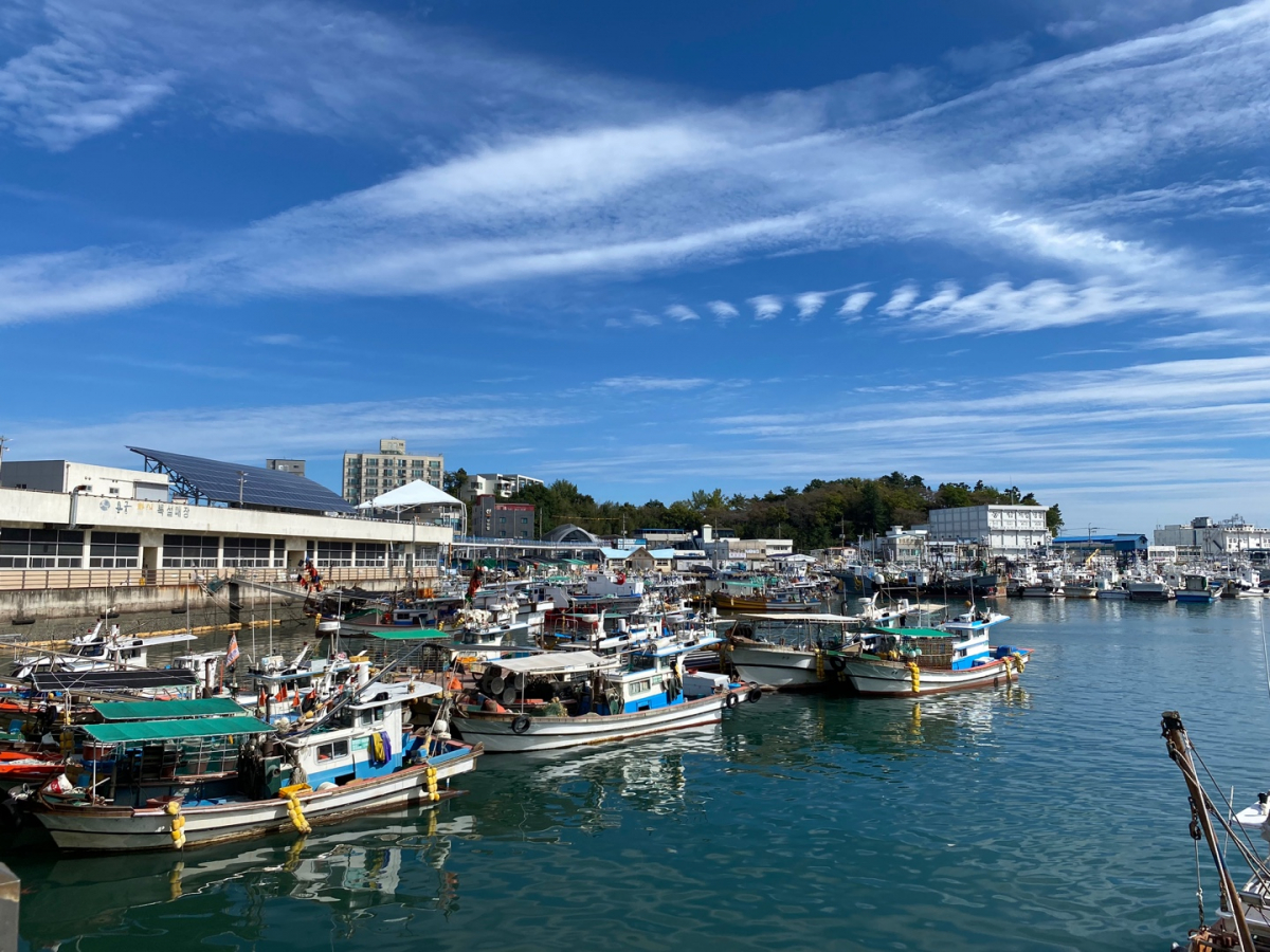 ▲경남 사천시 삼천포항 전경. (곽도흔 기자 sogood@)