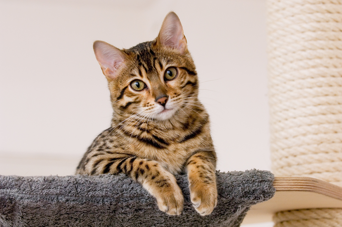 (출처=이미지투데이)