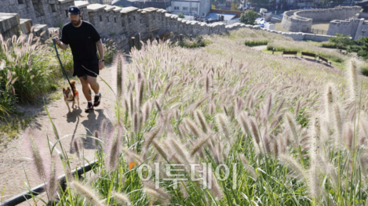 ▲(조현호 기자 hyunho@)
