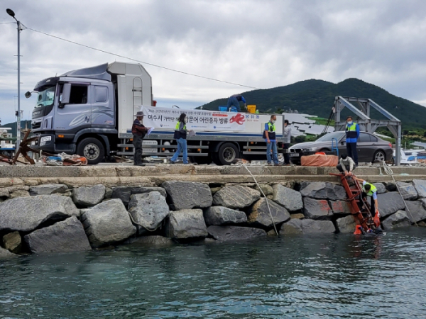 ▲한국수산자원공단 남해본부 직원들이 이달 1일 전남 여수시 돌산읍 신기리 가막만 해역에서 참문어 알이 들어있는 포란문어단지 80여개를 설치하고 있다. (사진제공=한국수산자원공단)