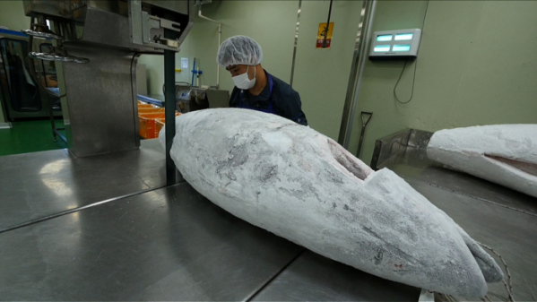 ▲'극한직업'(사진제공=EBS1)