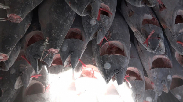 ▲'극한직업'(사진제공=EBS1)