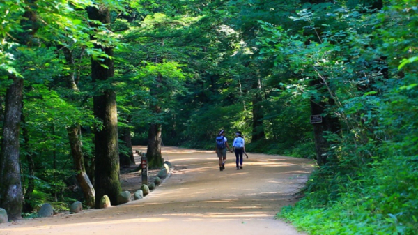 ▲'영상앨범 산' 오대산(사진제공=KBS 2TV)