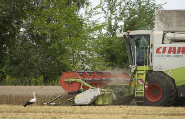 ▲우크라이나 즈흐리우카의 밀밭에서 농민들이 밀을 수확하고 있다.  (AP/뉴시스)