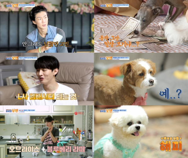 ▲'우리집상전'(사진 = KBS WORLD 제공)