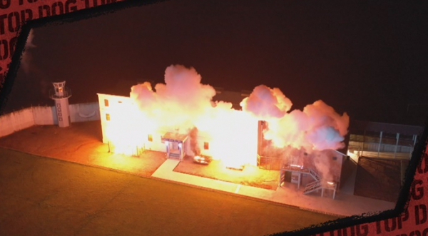 ▲'TV 동물농장'(사진제공=SBS)