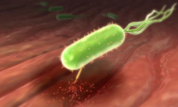 ▲'명의'(사진제공=EBS1)