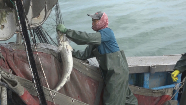 ▲'극한직업'(사진제공=EBS1)