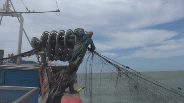 ▲'극한직업'(사진제공=EBS1)