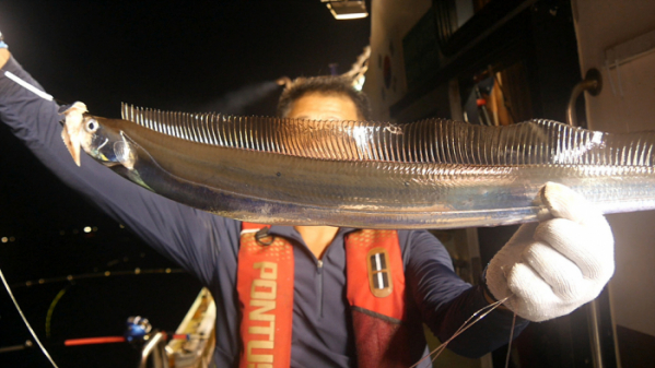 ▲'극한직업'(사진제공=EBS1)