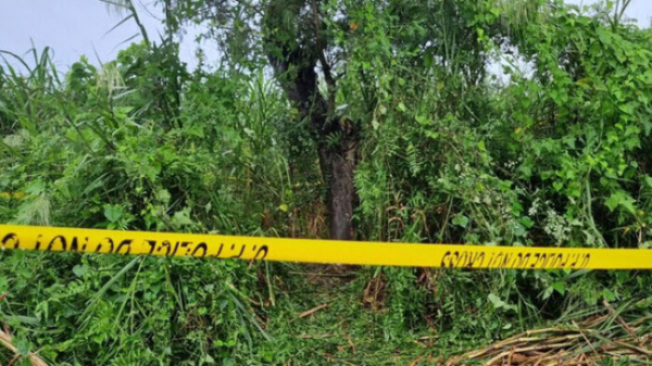 ▲인도의 10대 자매가 성폭행을 당한 뒤 시신으로 매달려있던 나무.  (출처=BBC)