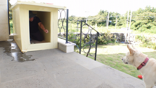 ▲'TV 동물농장'(사진제공=SBS)