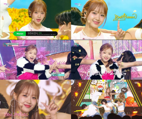 ▲최유정(사진제공=각 방송사)