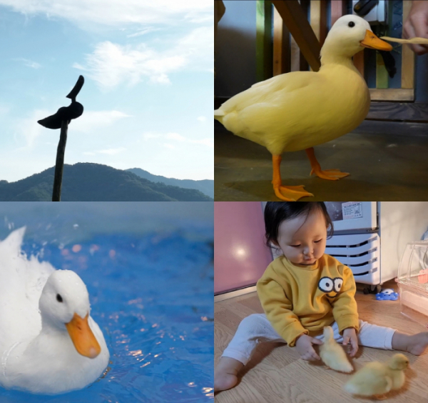 ▲'다큐프라임'(사진제공=MBC)