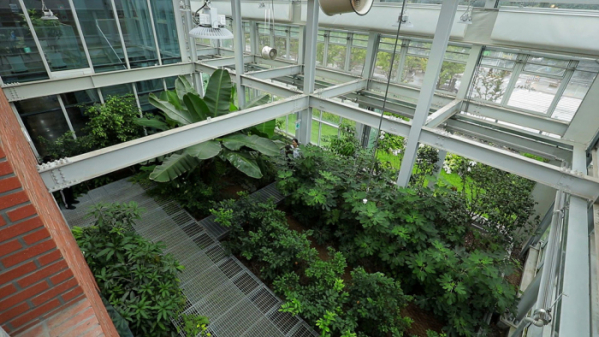 ▲'건축탐구 집'(사진제공=EBS1)