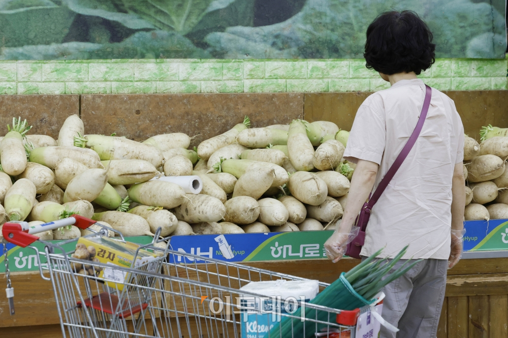 ▲조현호 기자 hyunho@ (이투데이DB)