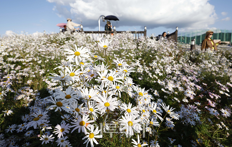 (고이란 기자 photoeran@)