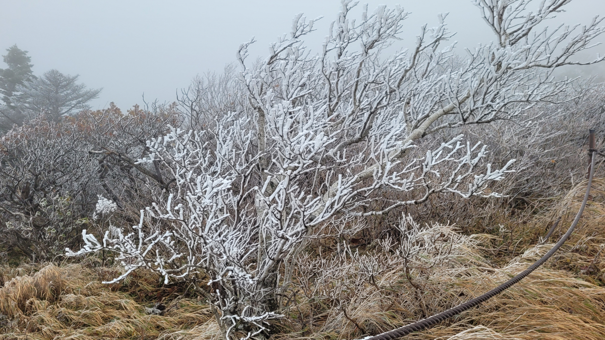 ▲첫눈이 내린 10일 오전 설악산 중청대피소 인근 등산로가 하얗게 물들었다. 사진제공 설악산국립공원사무소    taetae@yna.co.kr/2022-10-10 10:04:37/<저작권자 ⓒ 1980-2022 ㈜연합뉴스. 무단 전재 재배포 금지.>