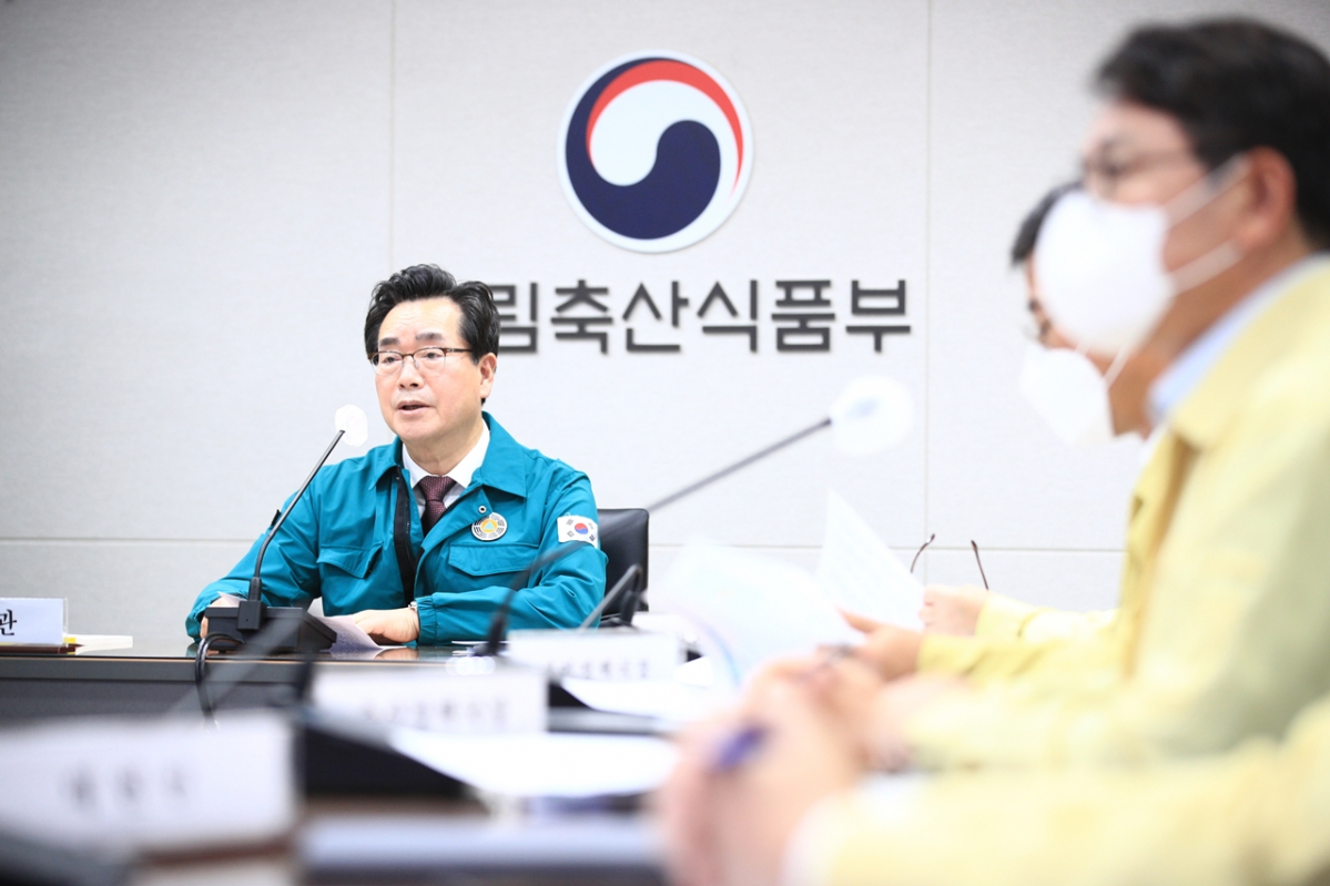 ▲정황근 고병원성 조류인플루엔자 중앙사고수습본부장(농림축산식품부 장관)이 12일 긴급 가축방역 상황 회의를 주재하고 있다.  (사진제공=농림축산식품부)