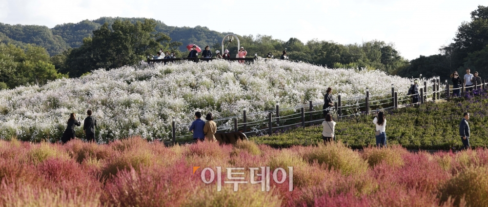 ▲7일 경기도 양주 나리공원에서 나들이객들이 가을을 만끽하고 있다. 고이란 기자 photoeran@