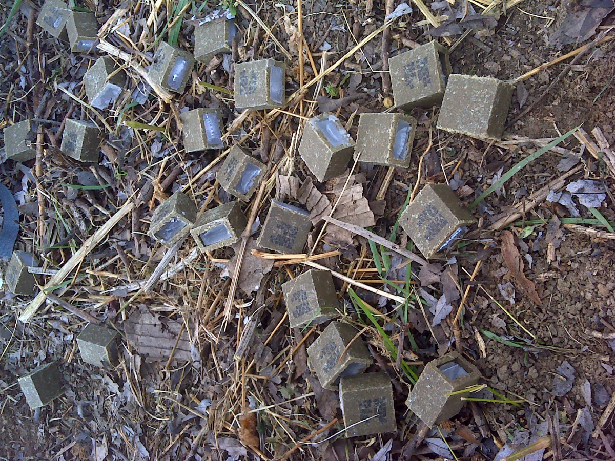 ▲광견병 미끼 예방약 (사진제공=서울시)