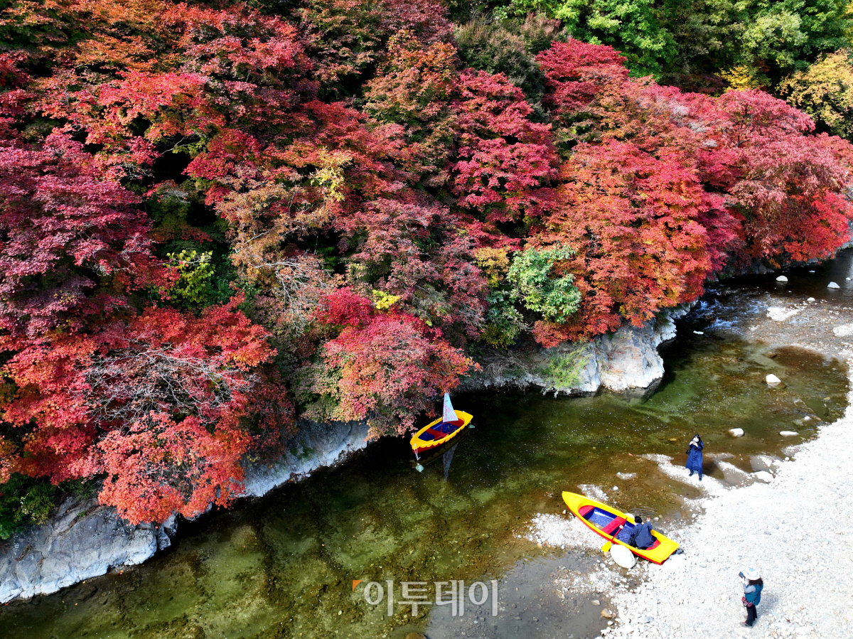 ▲
(신태현 기자 holjjak@)