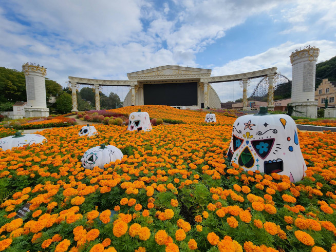 ▲에버랜드 포시즌스가든 메리골드 (사진제공=에버랜드)