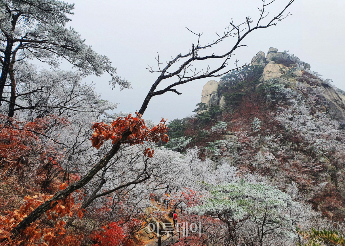 ▲신태현 기자 holjjak@