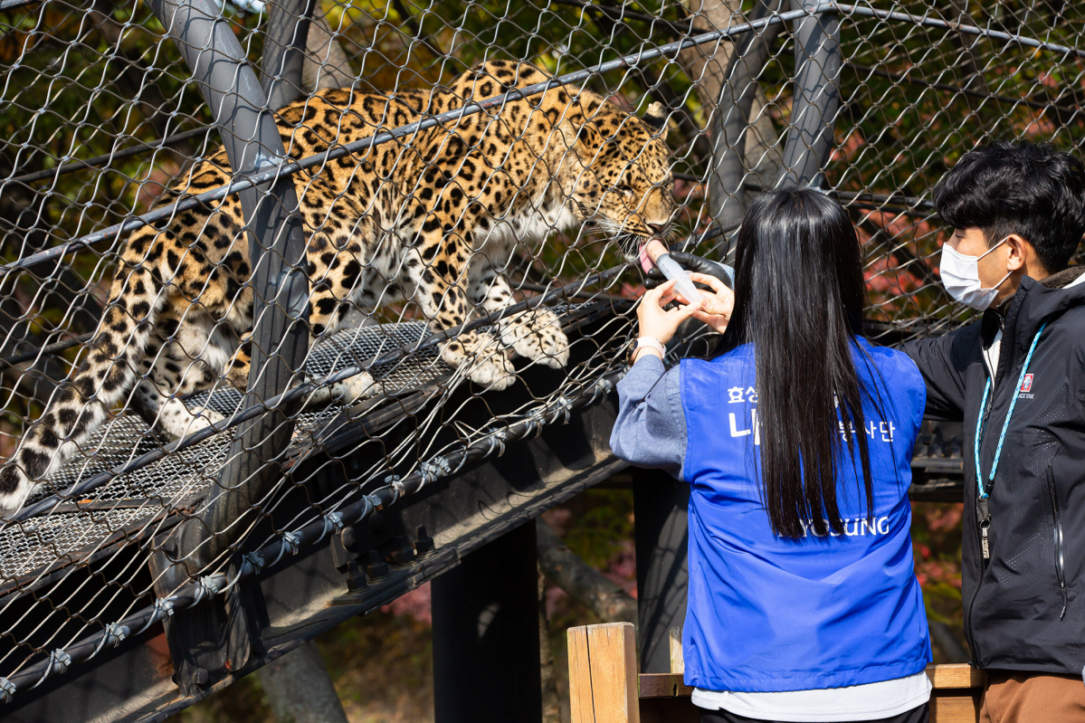 ▲효성화학 옥산공장 임직원들이 청주동물원에서 '동물행동풍부화'를 통한 생물다양성 보전 활동을 펼치고 있다. (사진제공=효성화학)