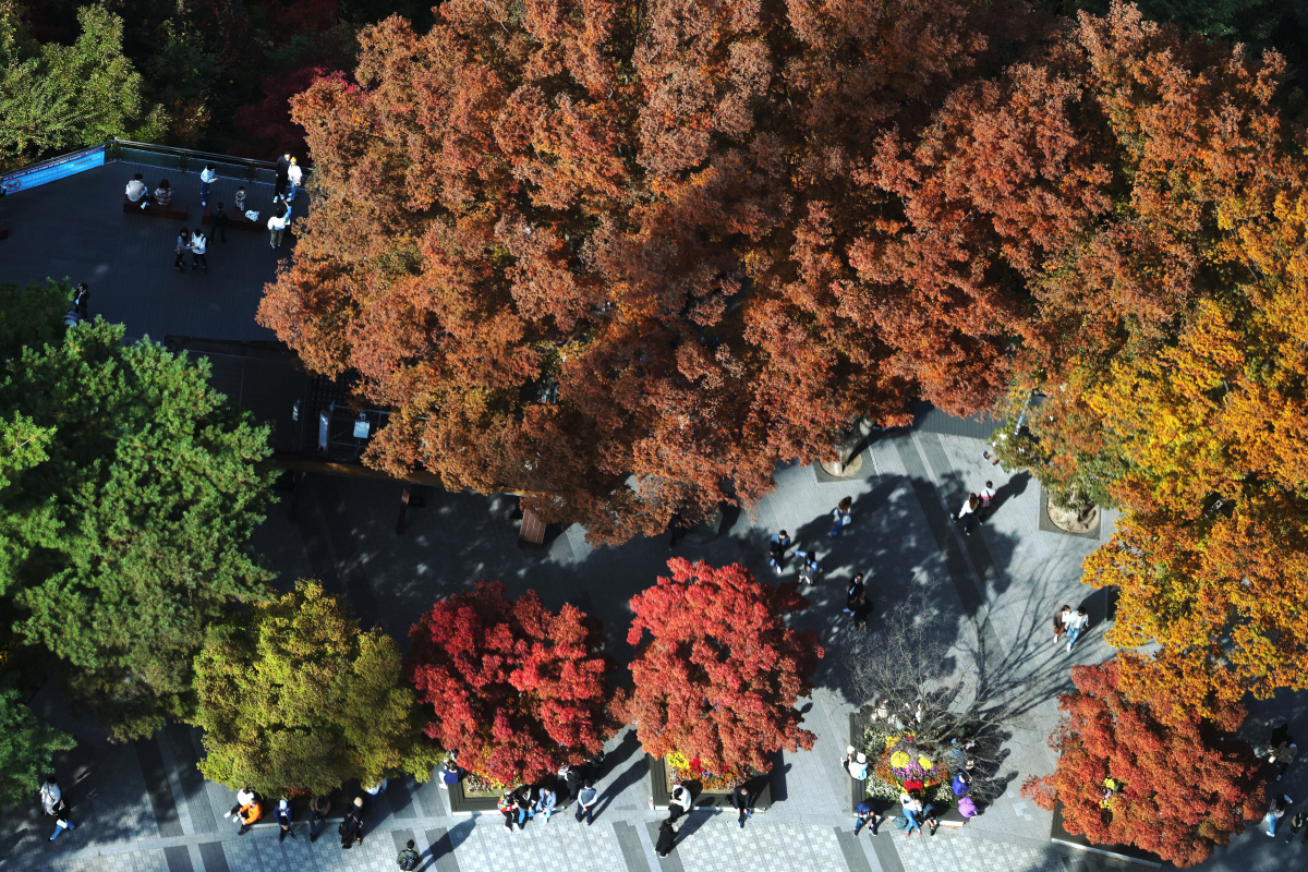 ▲▲ 신태현 기자 holjjak@
