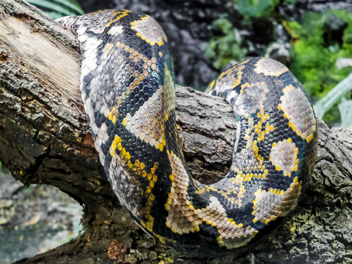 ▲
 (출처=게티이미지뱅크)